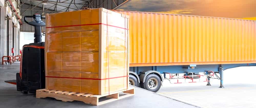 motokurye.org - Kurye İle Canlı Hayvan Nasıl Taşınır