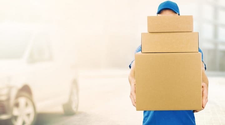 Köpekler Neden Motorlara Saldırır?